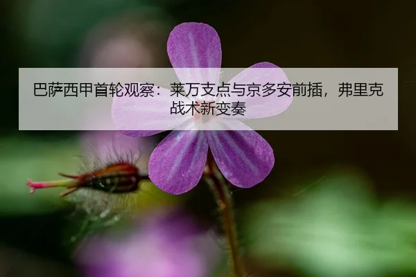巴萨西甲首轮观察：莱万支点与京多安前插，弗里克战术新变奏
