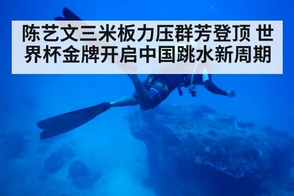 diver entering water
