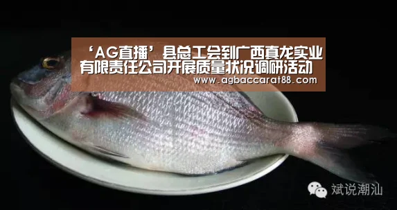 AG旗舰厅